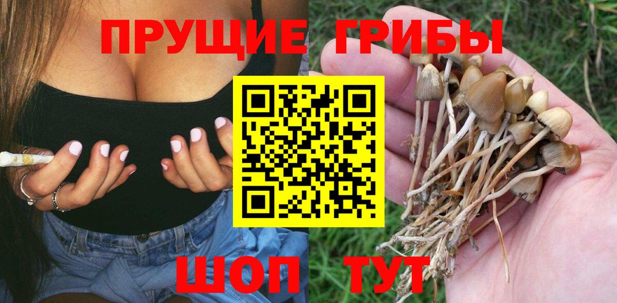 Галлюциногенные грибы Psilocybe  где купить наркотик  Вход с VPN  Усть-Джегута  Псилоцибиновые грибы Magic Shrooms 