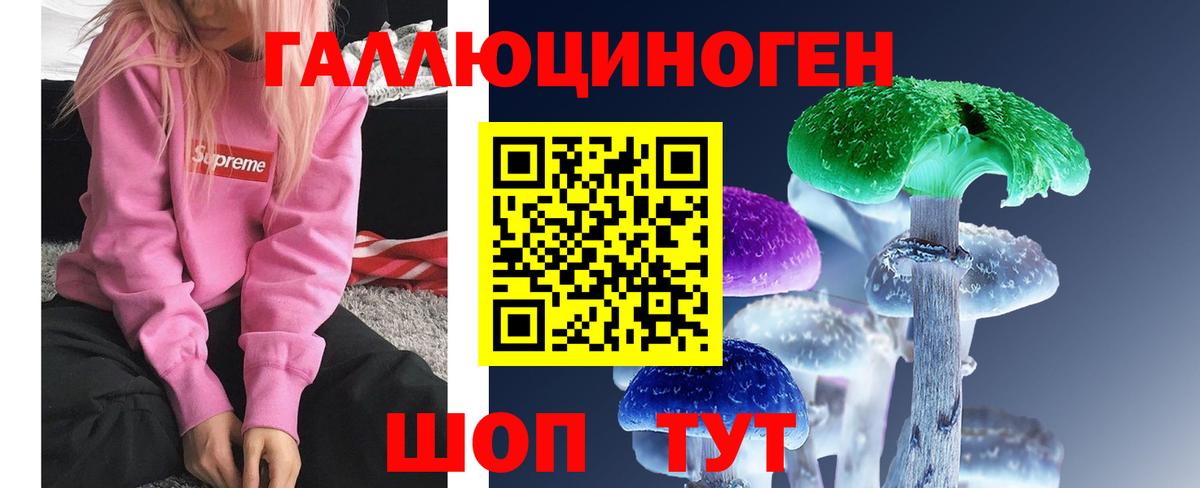 Псилоцибиновые грибы прущие грибы Усть-Джегута