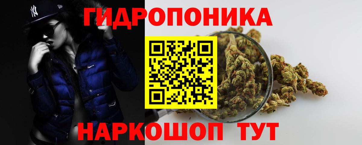 Усть-Джегута  Бошки Шишки планчик  Бошки Шишки THC 21%  Шишки марихуана THC 21%  Вход с VPN 